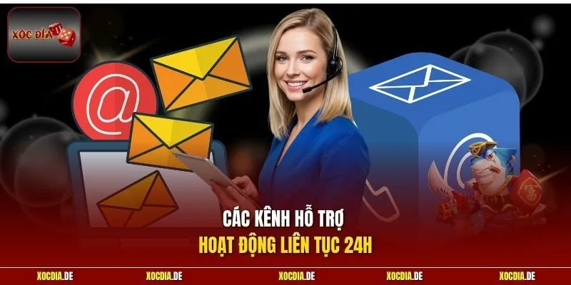Các kênh hỗ trợ hoạt động liên tục 24h