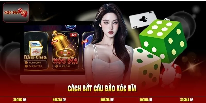 Cách Bắt Cầu Đảo Xóc Đĩa | Nhận Diện Chu Kỳ Đổi Siêu Dễ