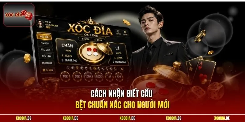 Cách nhận biết cầu bệt chuẩn xác cho người mới