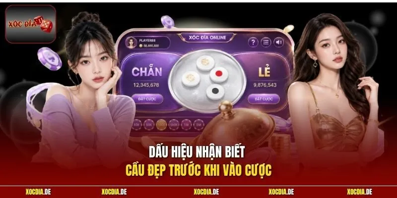 Dấu hiệu nhận biết cầu đẹp trước khi vào cược