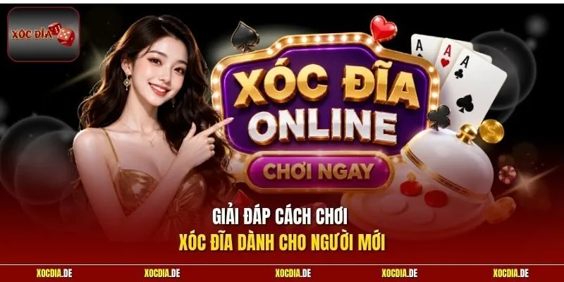 Giải đáp cách chơi xóc đĩa dành cho người mới 