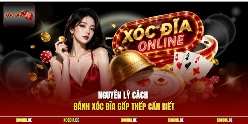 Nguyên lý cách đánh xóc đĩa gấp thếp cần biết