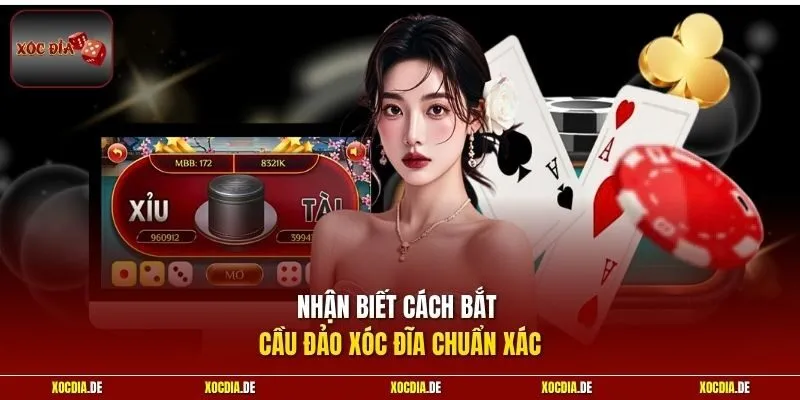 Nhận biết cách bắt cầu đảo xóc đĩa chuẩn xác